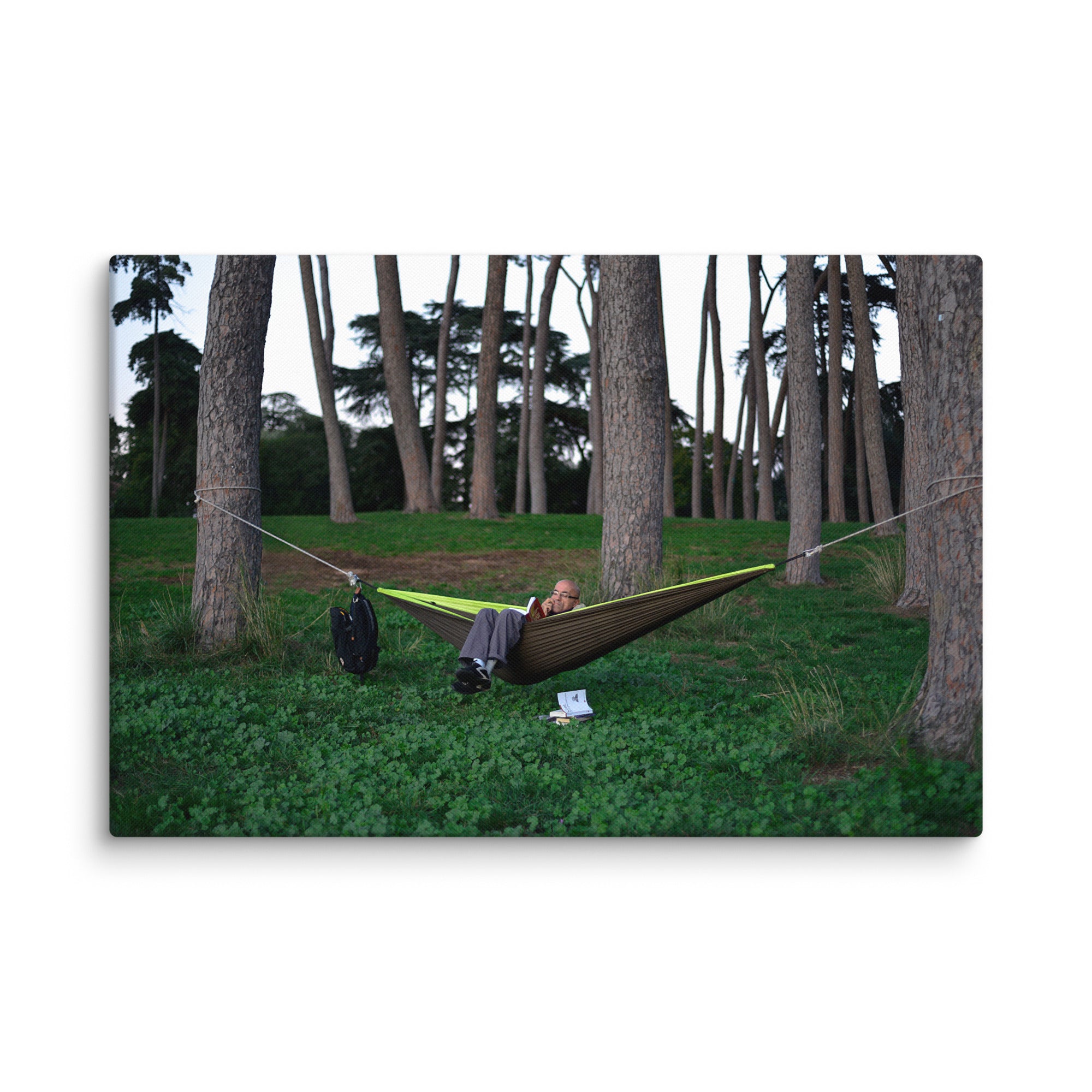 Canvas print of Reading in a Hammock by Bardia Azizi