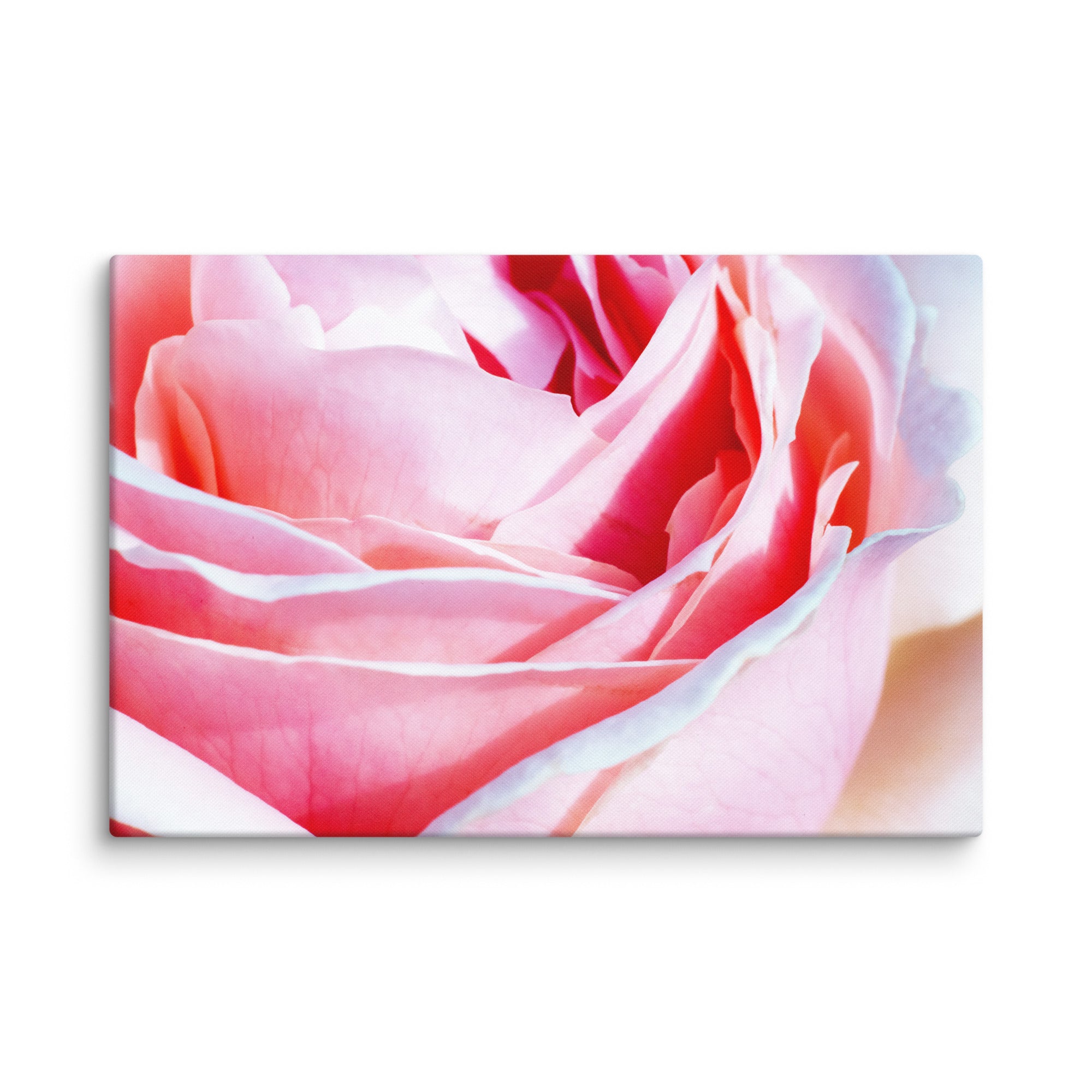 Canvas print of Bloom Close-Up Art by Bardia Azizi