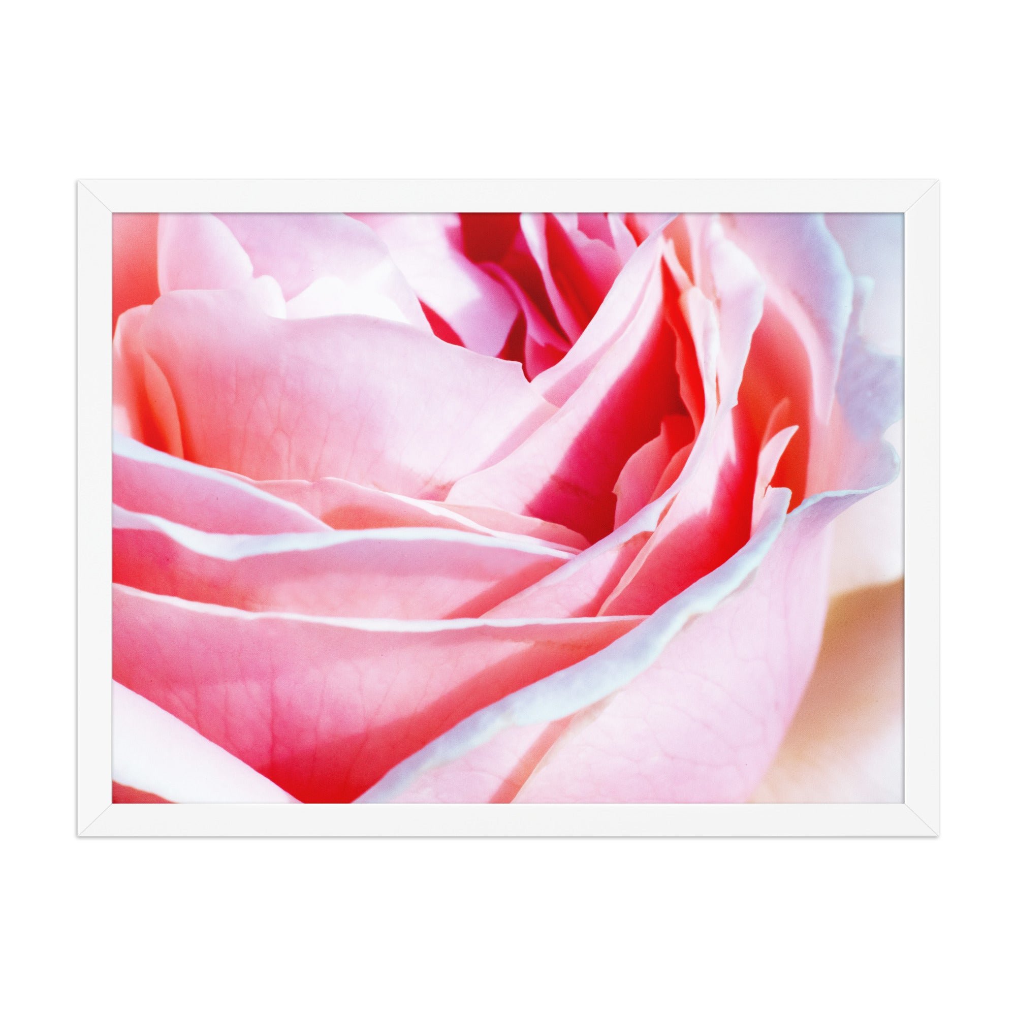 Framed photo paper poster of Bloom Close-Up Art by Bardia Azizi