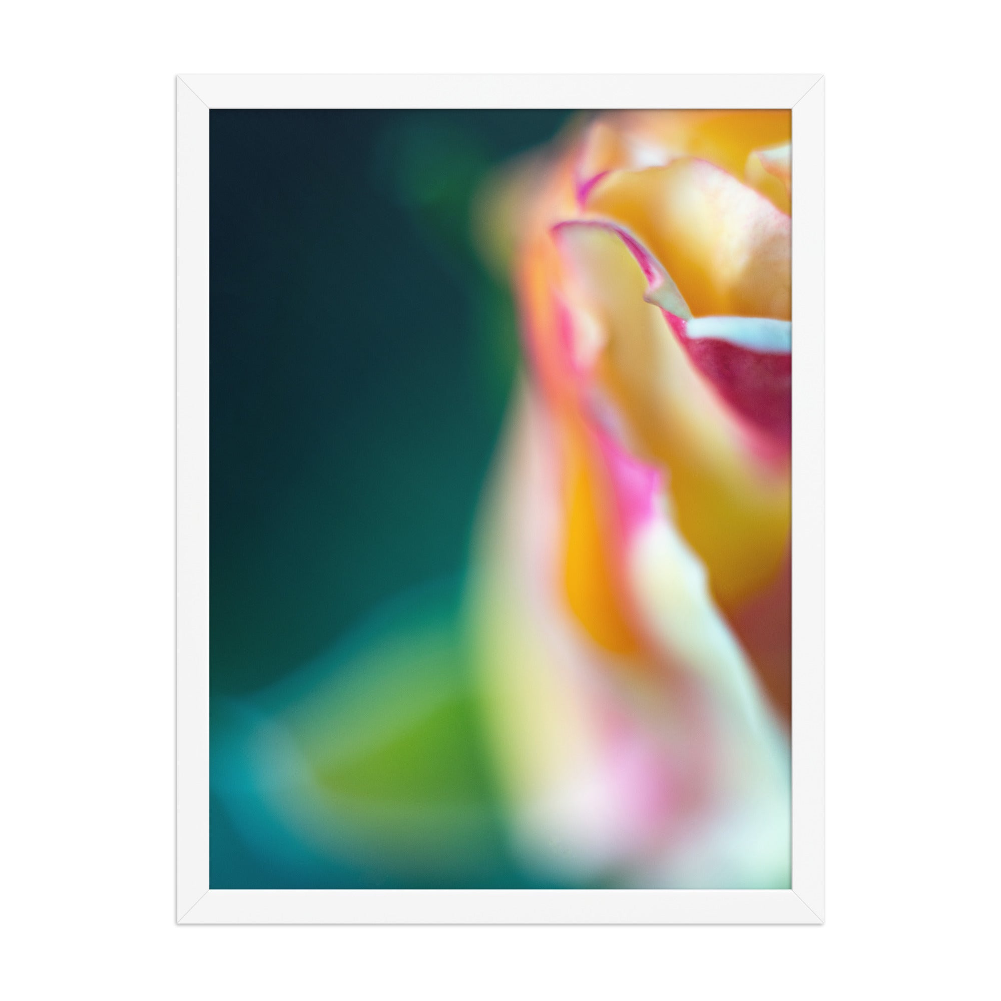 Framed photo paper poster of Artistic Floral View by Bardia Azizi
