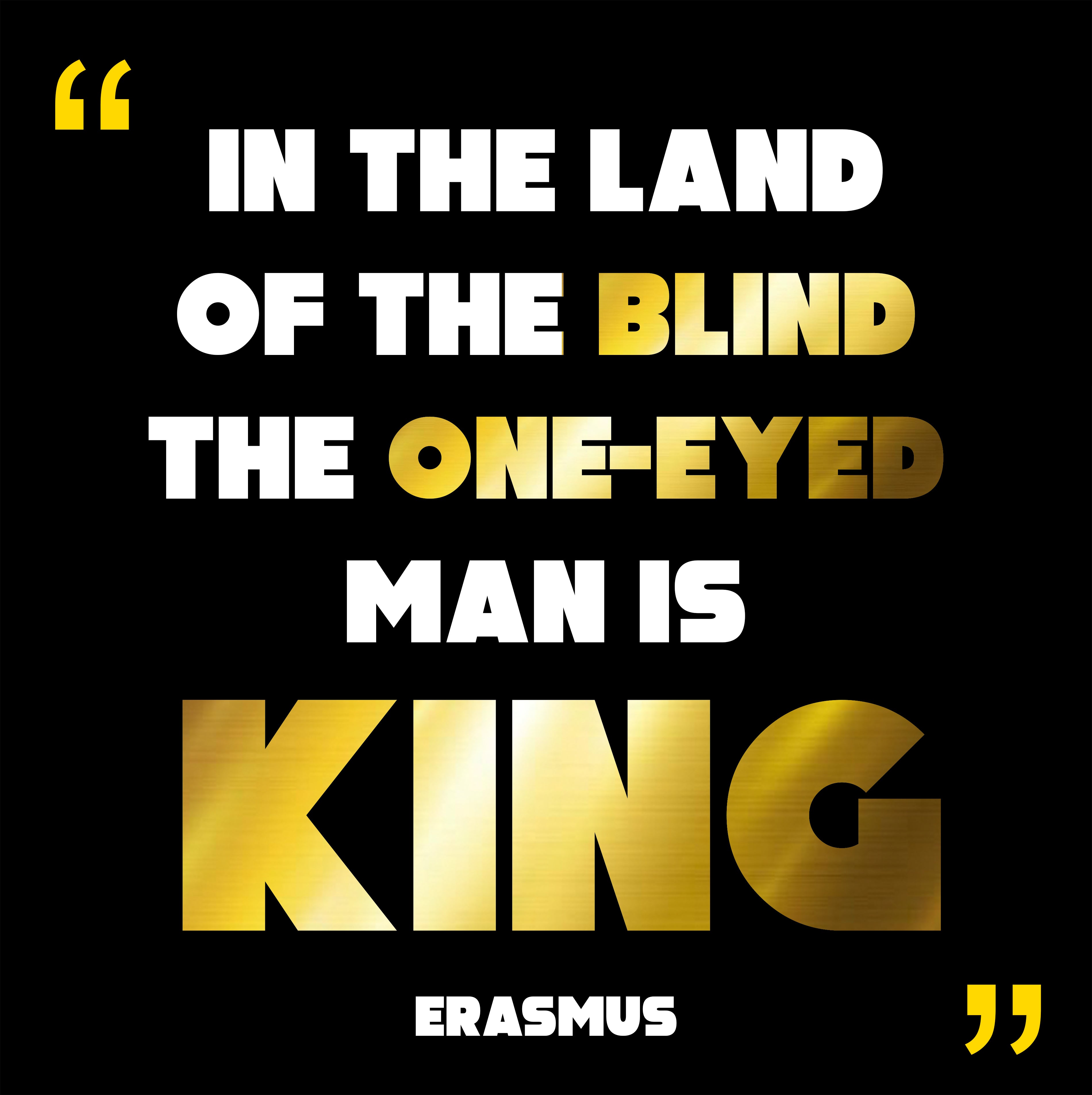 Unisex t-shirt - Erasmus "Land of the Blind"